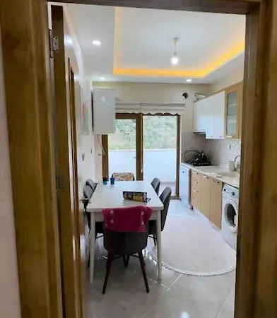Apartment Soner